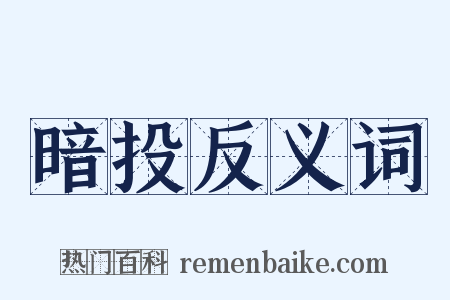 暗投反义词是什么意思的图片